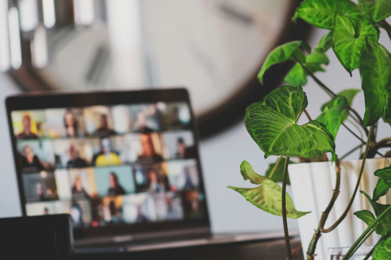 A laptop displaying an online group meeting beside a houseplant